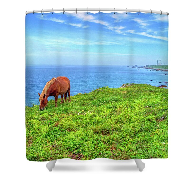 Horse Shower Curtain featuring the photograph Kandachime by The Landscape Of Regional Cities In Japan.