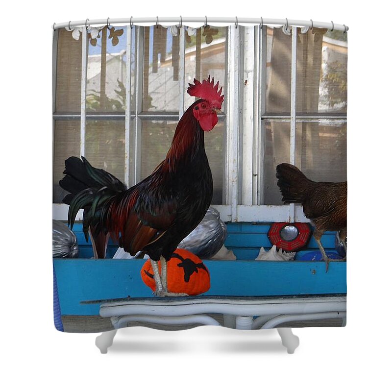 Key West Shower Curtain featuring the photograph Key West Rooster by Keith Stokes