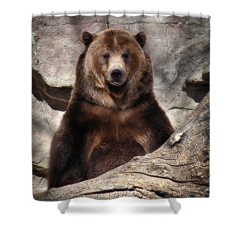 Nature Shower Curtain featuring the photograph Kicking Back by Steven Reed