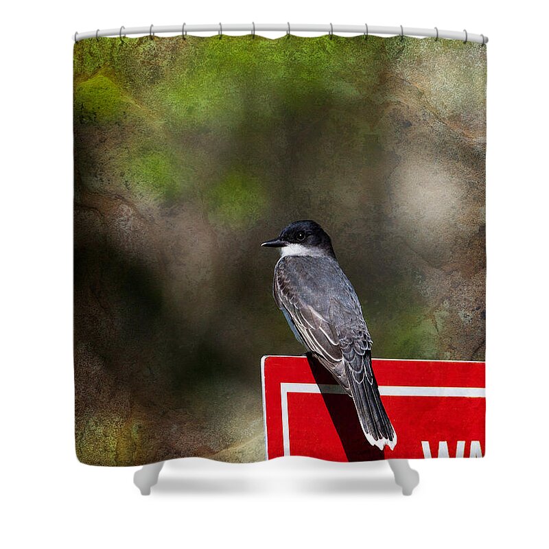 Eastern Kingbird Shower Curtain featuring the photograph Kingbird by Melinda Fawver