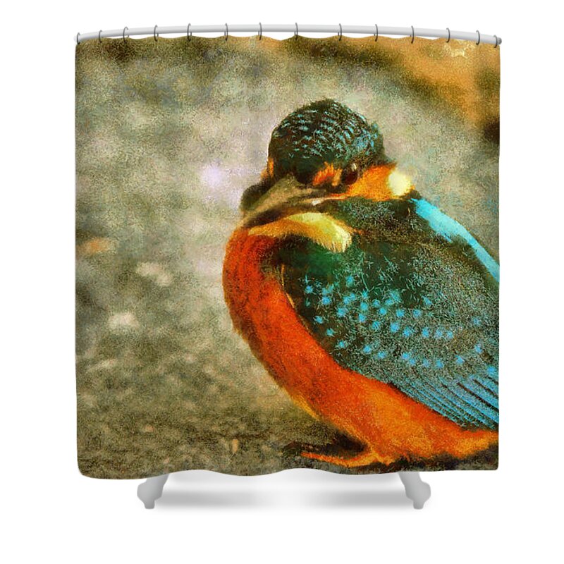 Bird Shower Curtain featuring the photograph Kingfisher by Mick Flynn