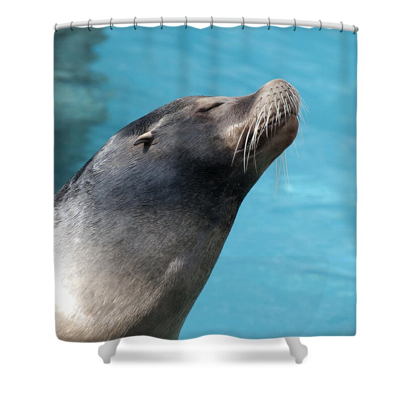 Photography Shower Curtain featuring the photograph Kiss Me by Jackie Farnsworth