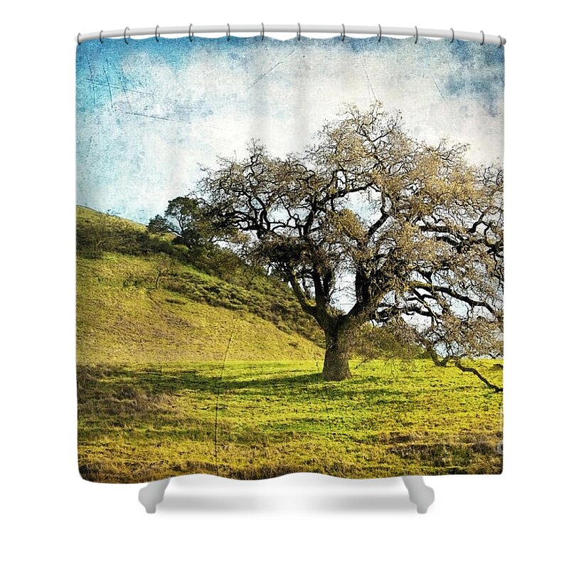 Landscape Shower Curtain featuring the photograph Kiss the Earth by Ellen Cotton
