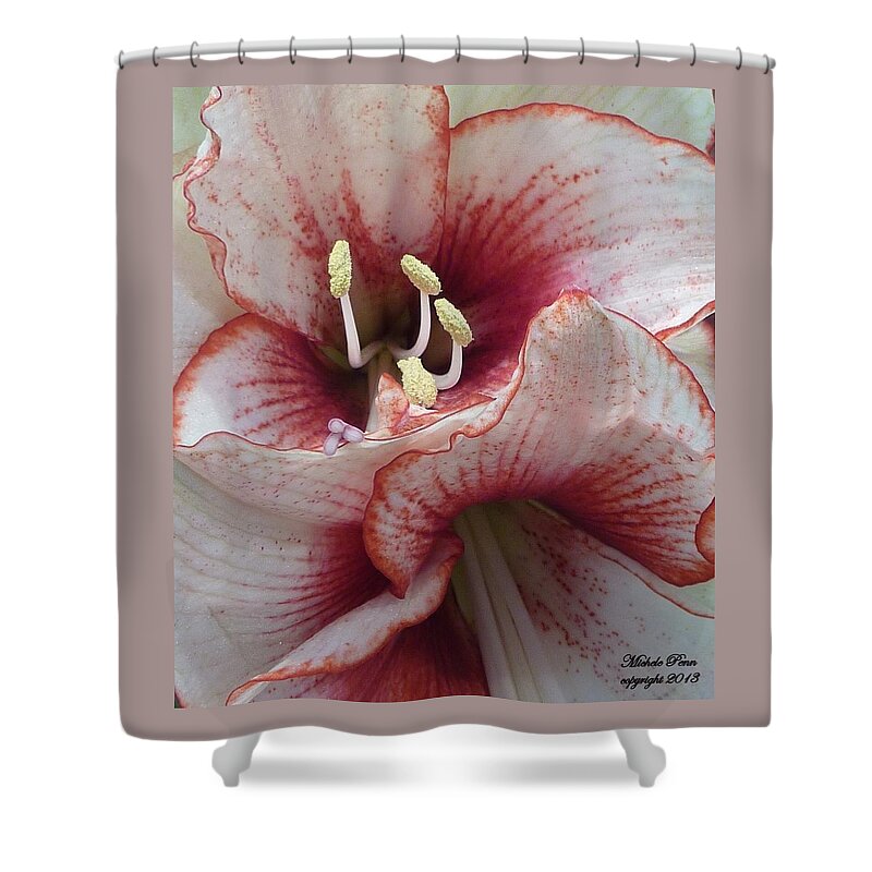 Red Shower Curtain featuring the photograph Kisses by Michele Penn