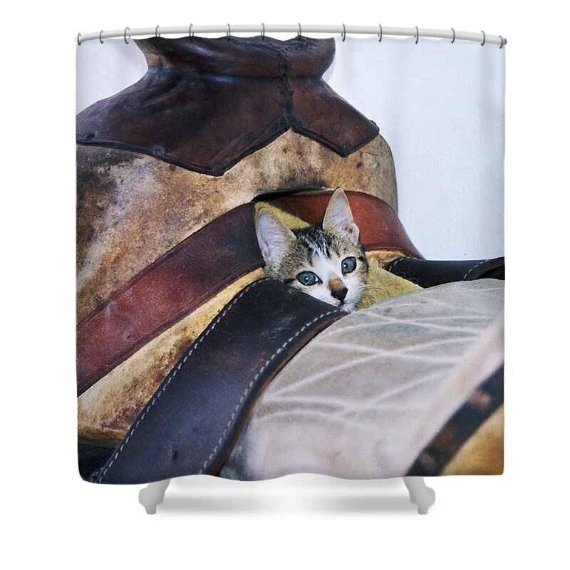 Cat Shower Curtain featuring the photograph Kitty in the Saddle by Kae Cheatham