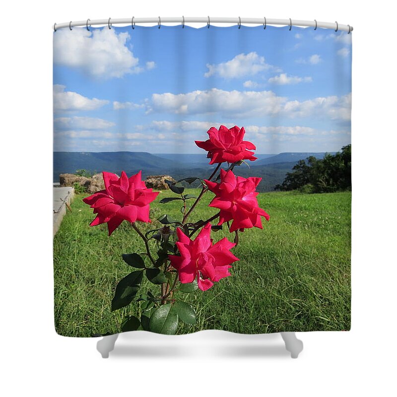 Floral Shower Curtain featuring the photograph Knock Out Rose by Aaron Martens