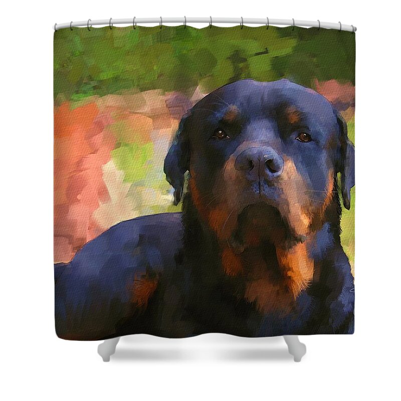 Animal Shower Curtain featuring the digital art Kodah a Rottweiler by Debra Baldwin