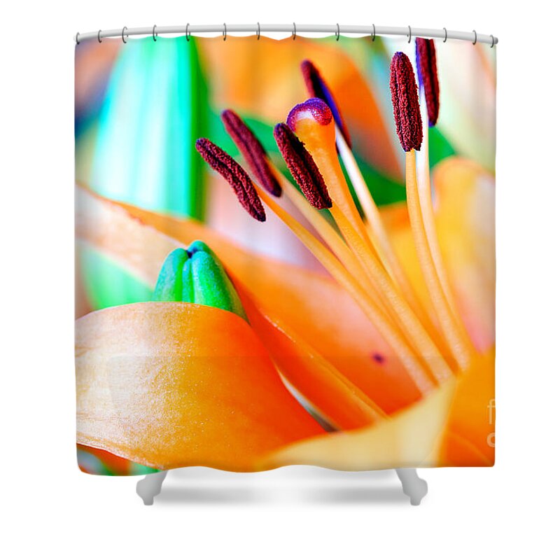 Art Shower Curtain featuring the photograph L I L Y by Charles Dobbs