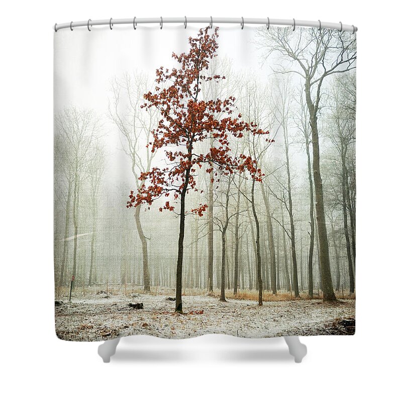 Tree Shower Curtain featuring the photograph I Keep my Dress on by Randi Grace Nilsberg