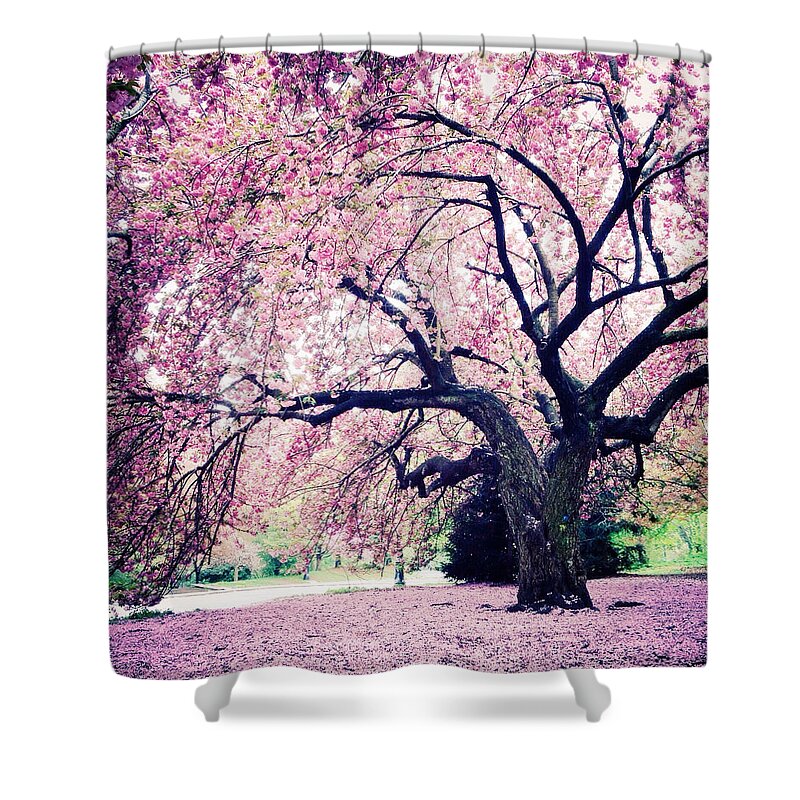Spring Shower Curtain featuring the photograph La Vie en Rose by Natasha Marco