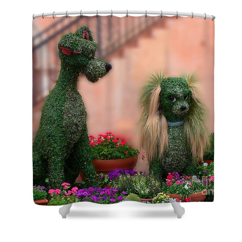 Lady And The Tramp Shower Curtain featuring the photograph Lady and the Tramp by Kevin Fortier