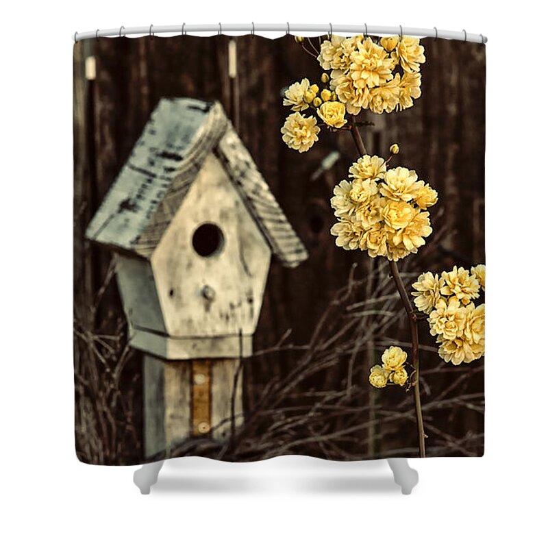 Garden Art Shower Curtain featuring the photograph Lady Banks Roses by Caitlyn Grasso