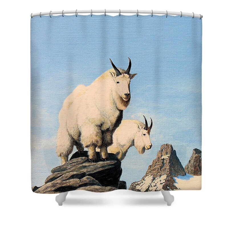 Mountain Goats Shower Curtain featuring the painting Lamoille Goats by Darcy Tate