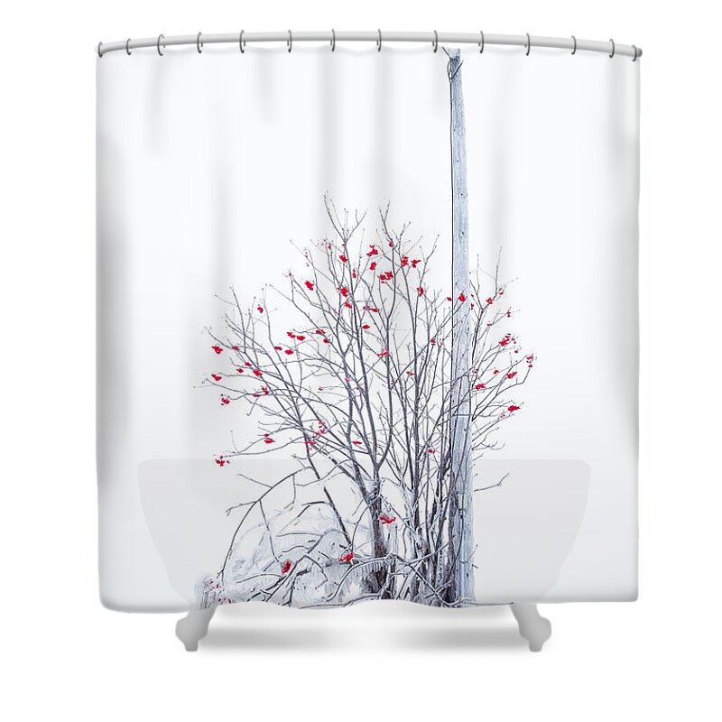 Abandoned Shower Curtain featuring the photograph Lamp Post by Jakub Sisak