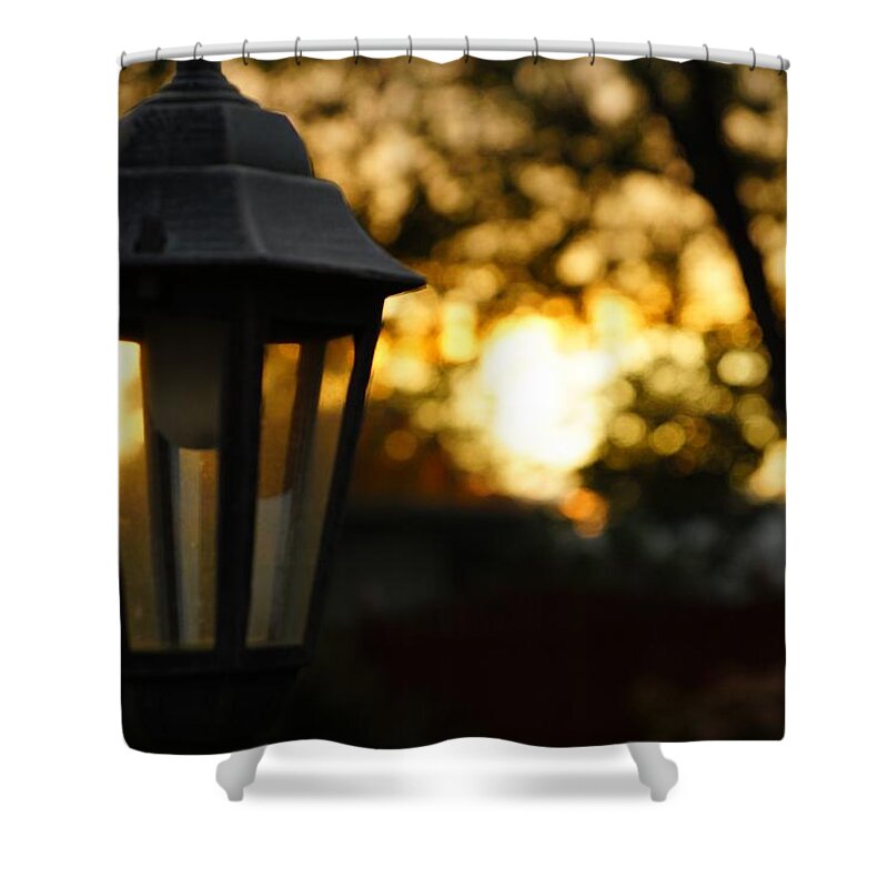 Lamp Shower Curtain featuring the photograph Lamplight by Photographic Arts And Design Studio