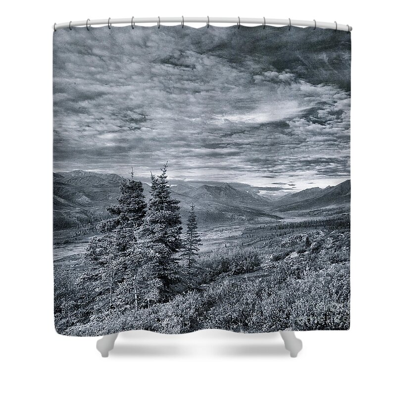 Tree Shower Curtain featuring the photograph Land Shapes 18 by Priska Wettstein