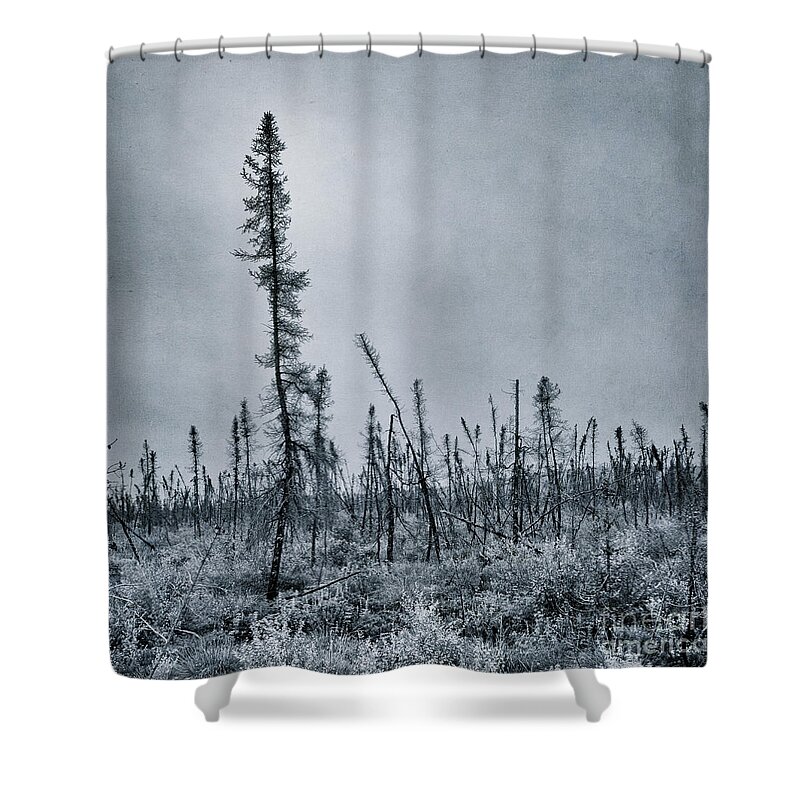  Shower Curtain featuring the photograph Land Shapes 21 by Priska Wettstein