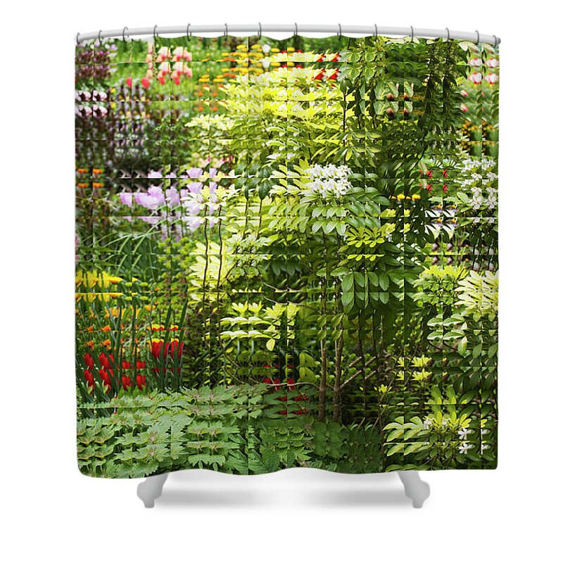 Flowerbed Shower Curtain featuring the photograph Landscape Of Discontinuous Pattern by Hiroshi Watanabe