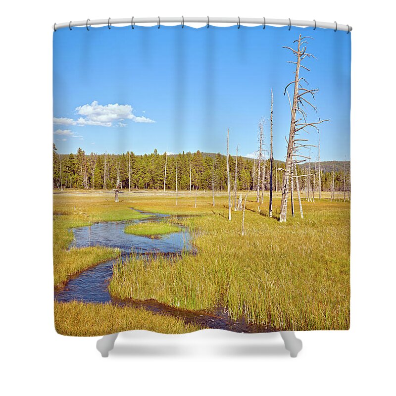 Scenics Shower Curtain featuring the photograph Lanscape In Yellowstone Wyoming Usa by Pavliha