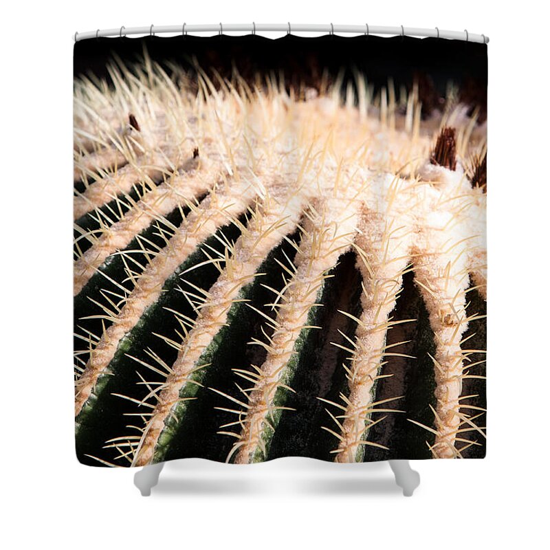 Botanical Shower Curtain featuring the photograph Large Cactus Ball by John Wadleigh