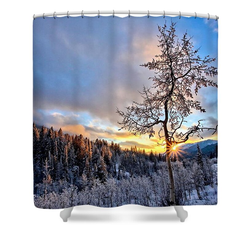 Aspen Shower Curtain featuring the photograph Last Breath of Day by David Andersen