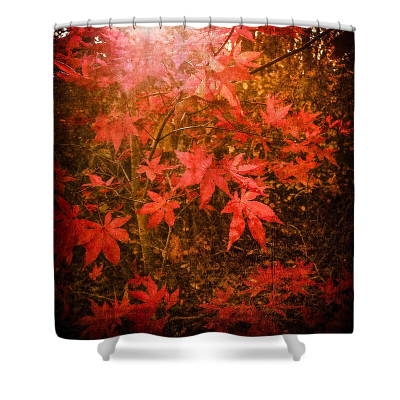Fall Shower Curtain featuring the photograph Last Color of Autumn by Frank Winters
