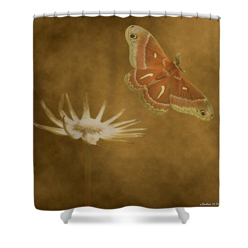 Photograph Shower Curtain featuring the mixed media Last Flight by Barbara St Jean