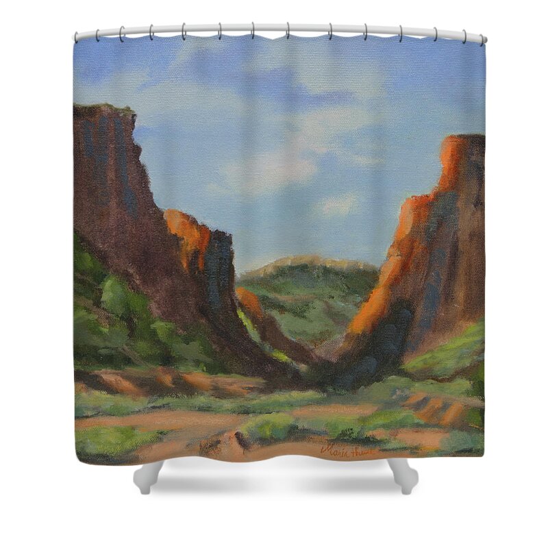 Diablo Canyon Shower Curtain featuring the painting Late Afternoon In Diablo Canyon by Maria Hunt