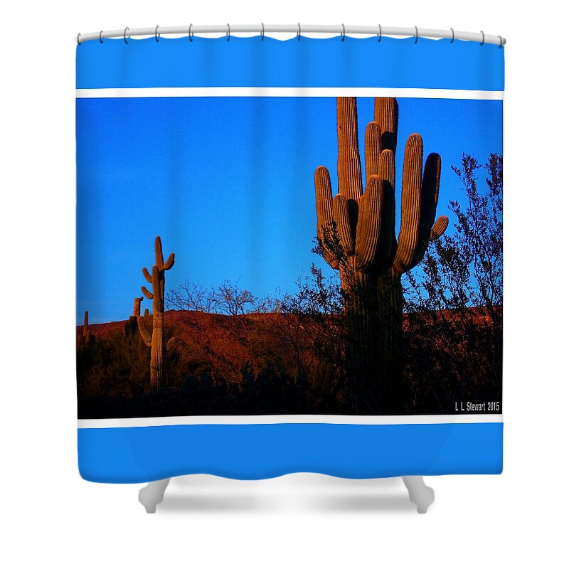 Arizona Shower Curtain featuring the photograph Late Afternoon on The Desert by L L Stewart