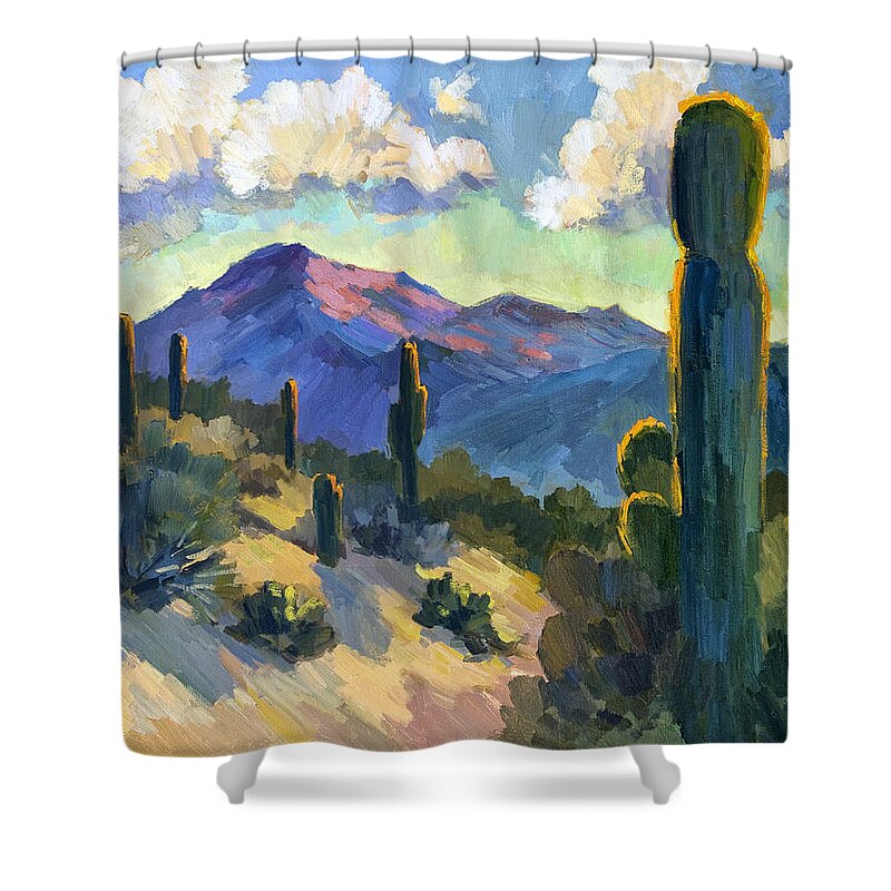 Late Afternoon Shower Curtain featuring the painting Late Afternoon Tucson by Diane McClary