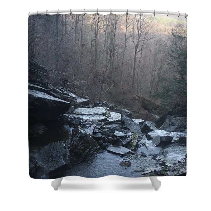 Tree Shower Curtain featuring the photograph Late Autumn by Vadim Levin