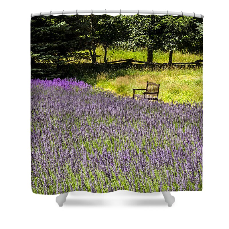 Lavender Shower Curtain featuring the photograph Lavender Rest by Kathy Bassett