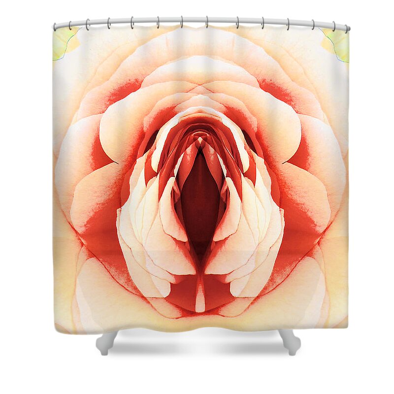 Rose Shower Curtain featuring the digital art Layers by Steve Taylor