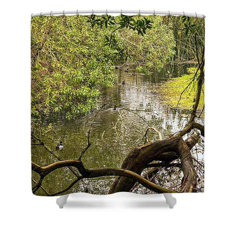 Birds Shower Curtain featuring the photograph Lazy Afternoon by Kate Brown