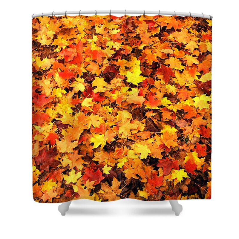 Leaves Shower Curtain featuring the photograph Leaf Blanket by Paul W Faust - Impressions of Light