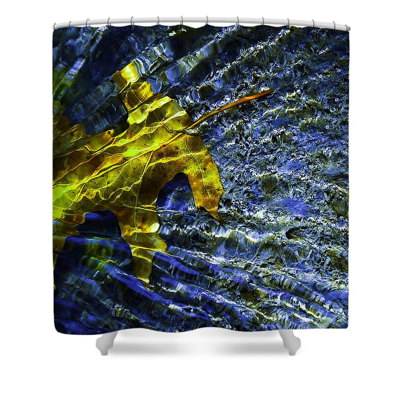 Leaf In Creek Shower Curtain featuring the photograph Leaf In Creek - Blue Abstract by Darryl Dalton