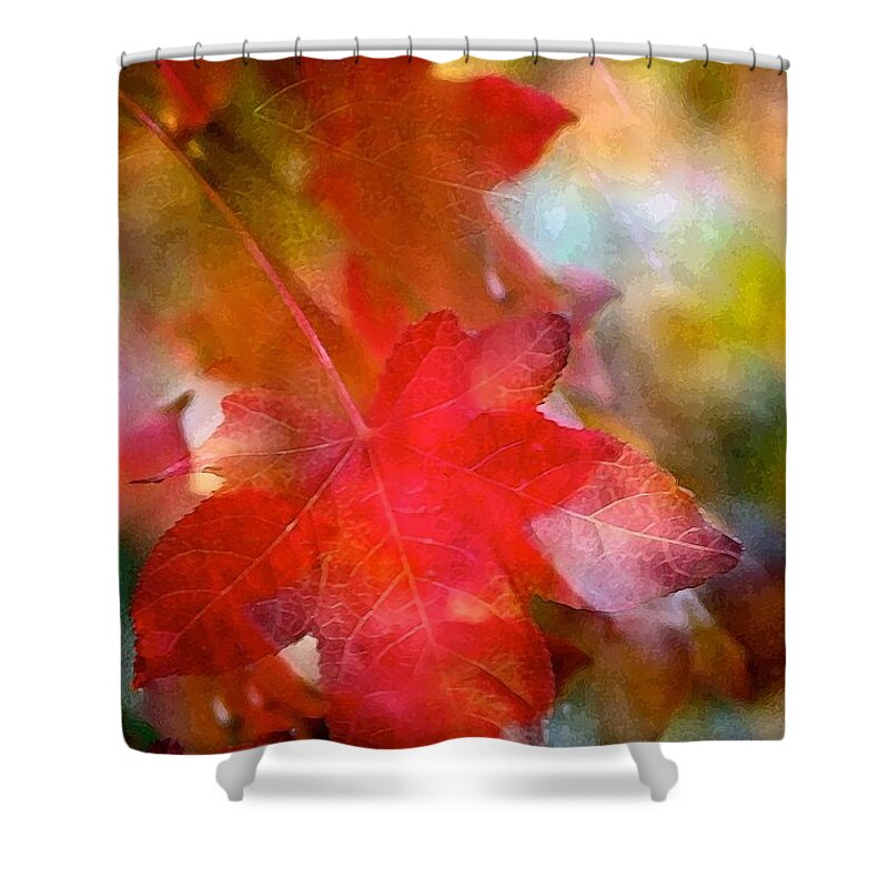 Tree Shower Curtain featuring the photograph Leaves 12 by Pamela Cooper