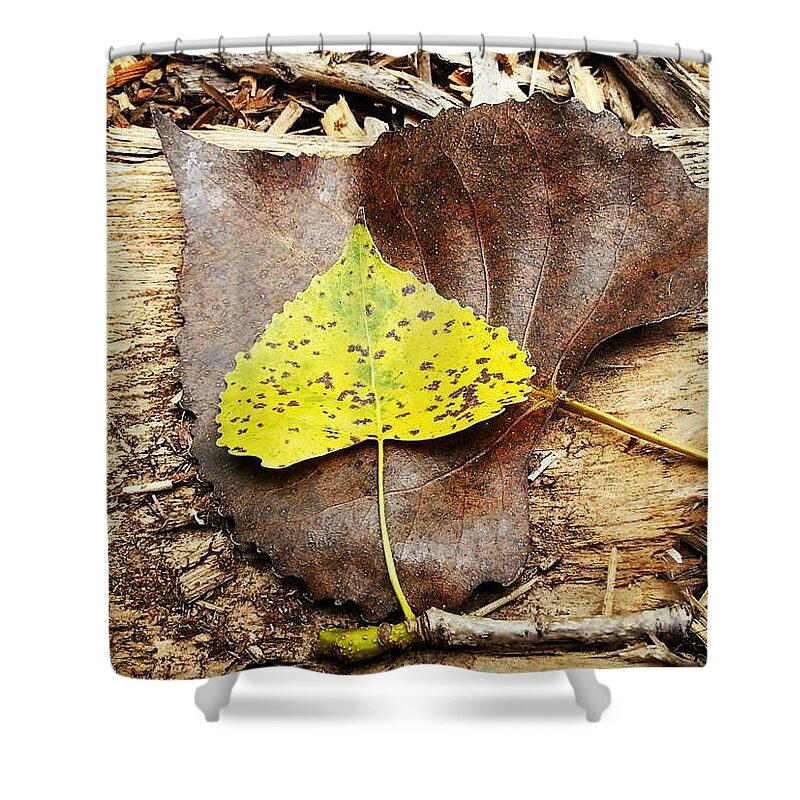 Leaves Shower Curtain featuring the photograph Leaves by Inspired Arts