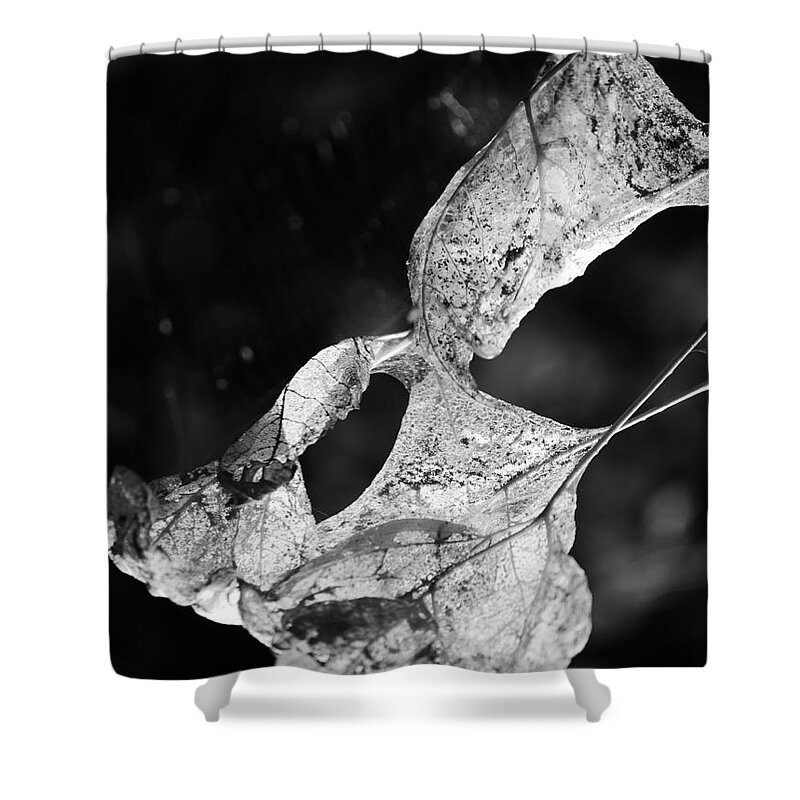 Fall Leaves Shower Curtain featuring the photograph Leaves in black and white by Jane Ford