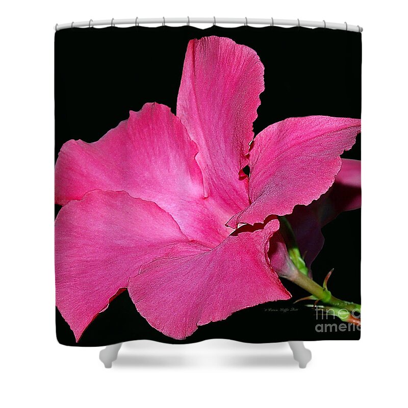 Fine Art Photography Shower Curtain featuring the photograph Leilani by Patricia Griffin Brett