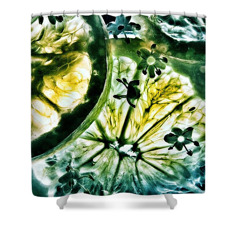 Elderflower Shower Curtain featuring the photograph Lemon and Elderflower by Marianna Mills