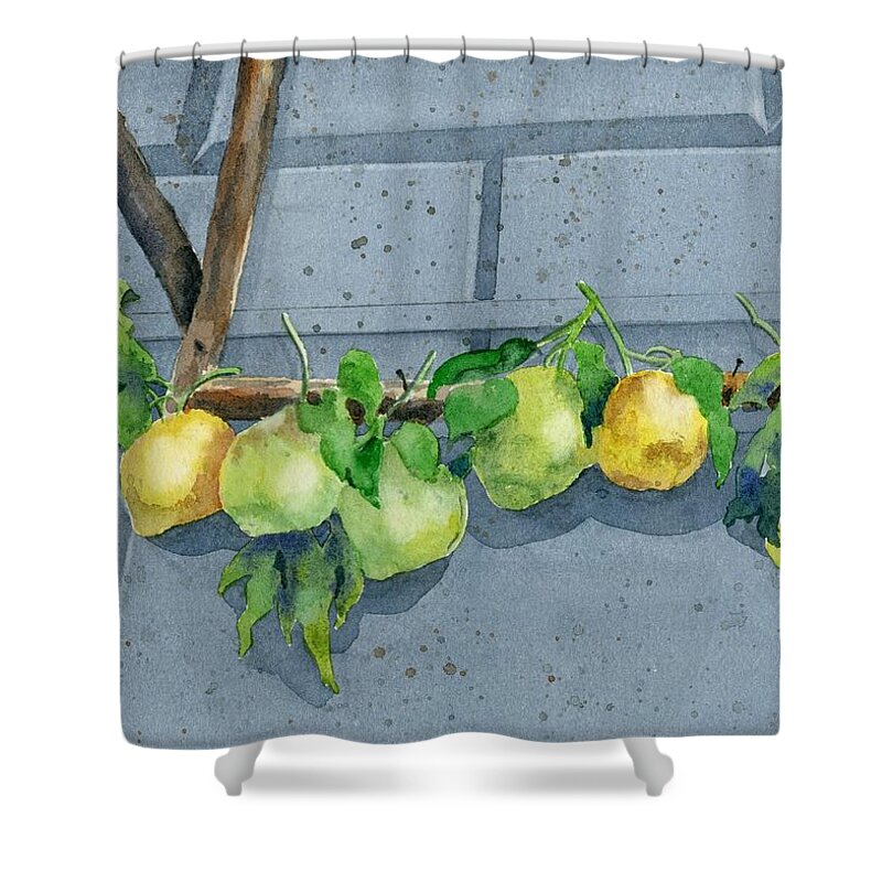 Italy Shower Curtain featuring the painting Lemon Swag by Marsha Elliott