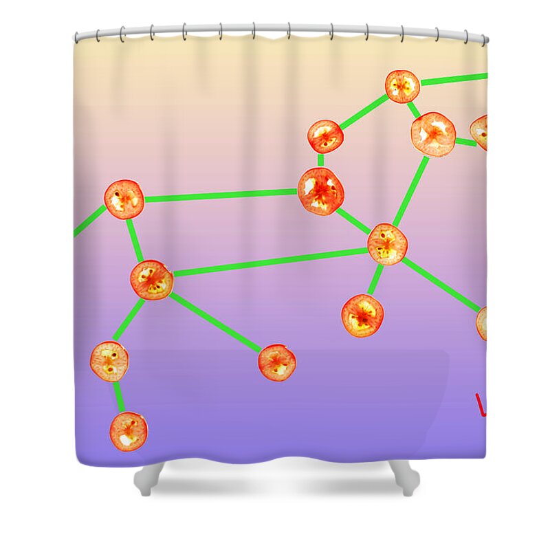 Leo Shower Curtain featuring the photograph Leo constellation composed by tomato slices food art by Paul Ge