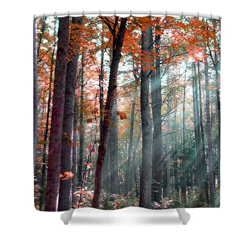 Sun Shower Curtain featuring the photograph Let There Be Light by Terri Gostola