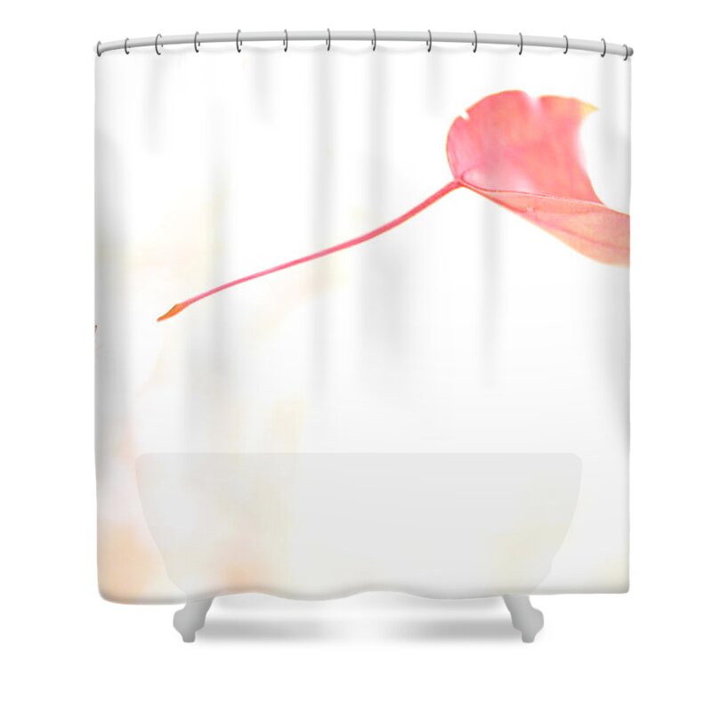 Autumn Shower Curtain featuring the photograph Letting Go by Jason Politte