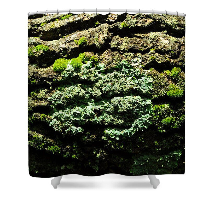 Ecosystem Shower Curtain featuring the photograph Life After Life by Rebecca Sherman