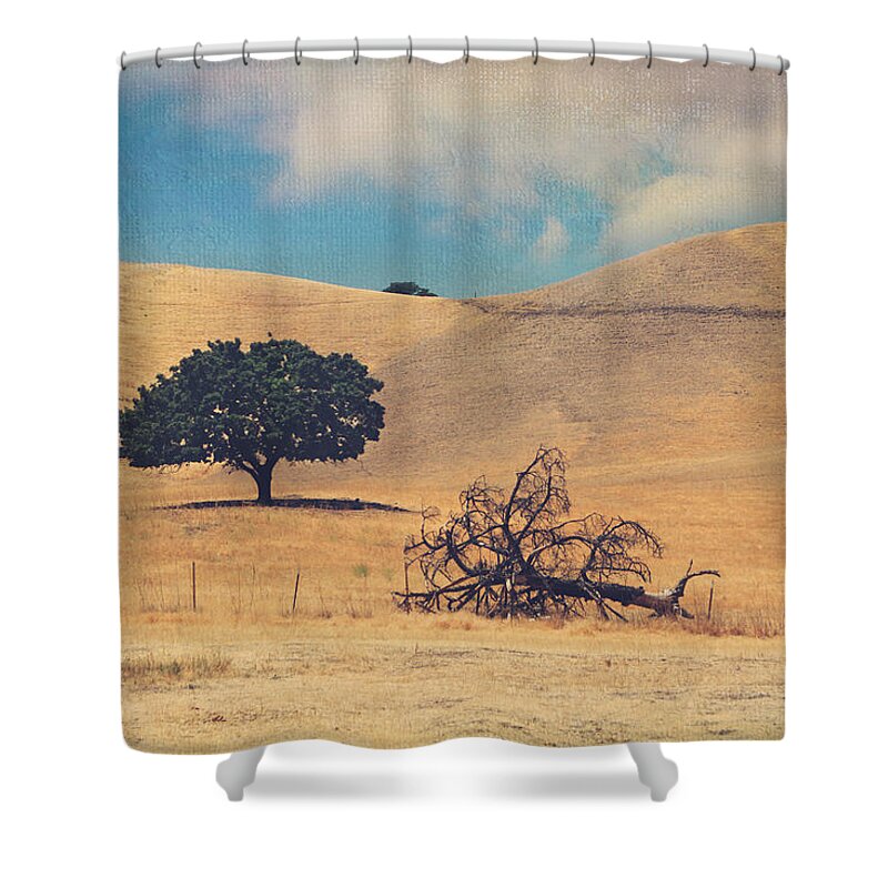 Antioch Shower Curtain featuring the photograph Life and Death by Laurie Search