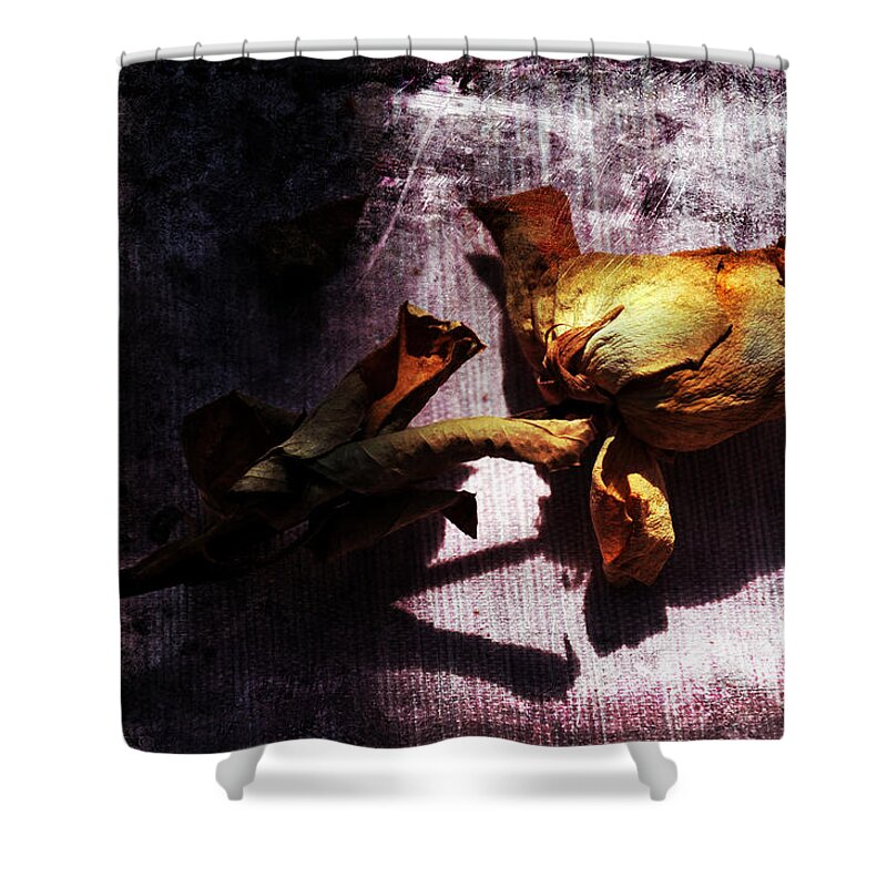 Rose Shower Curtain featuring the photograph Life Ended by Randi Grace Nilsberg