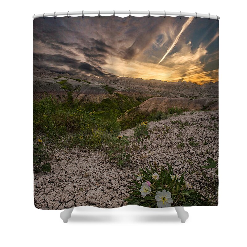 Badlands National Park Shower Curtain featuring the photograph Life Finds A Way by Aaron J Groen