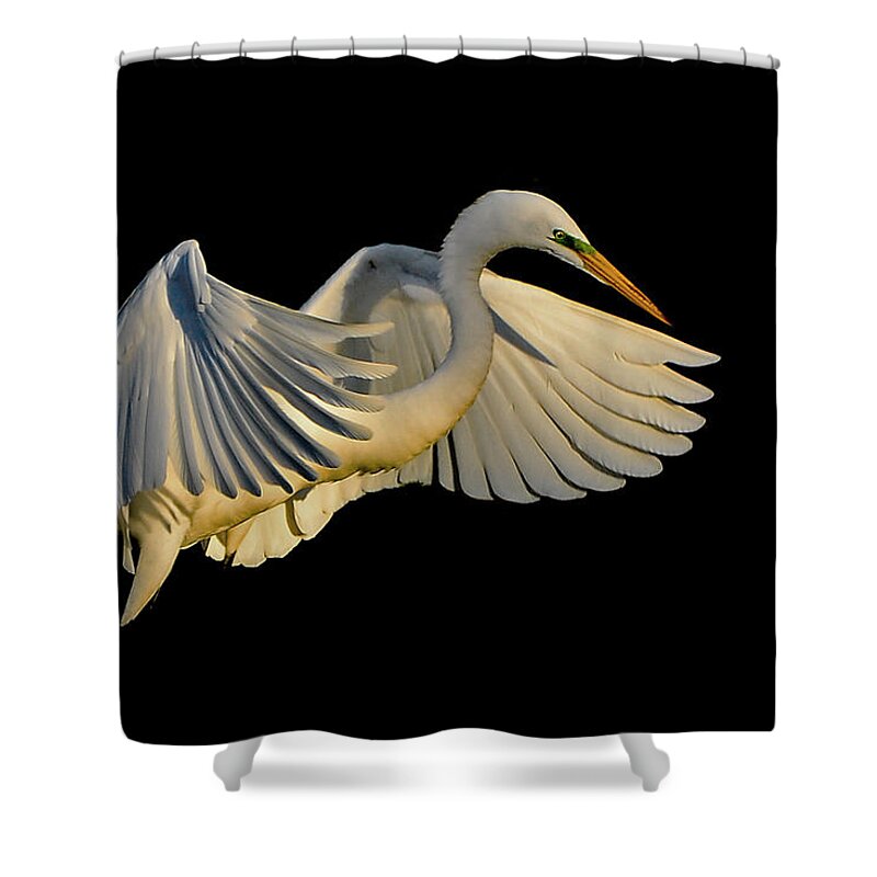Lift Shower Curtain featuring the photograph Lift by Stuart Harrison